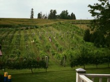 Fox Ridge Winery 2