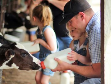 hansen's dairy farm tours